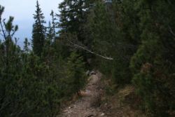 2011-04-24_Regina-F-Rau_Brunnstein-Spitze (293).JPG